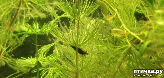 ���� 3: ������� ���������� ���� ����������� �������.