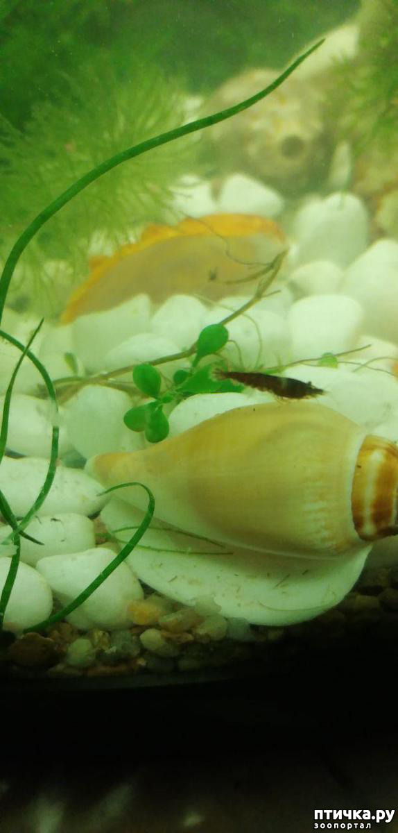 ���� 4: ������� ���������� ���� ����������� �������.