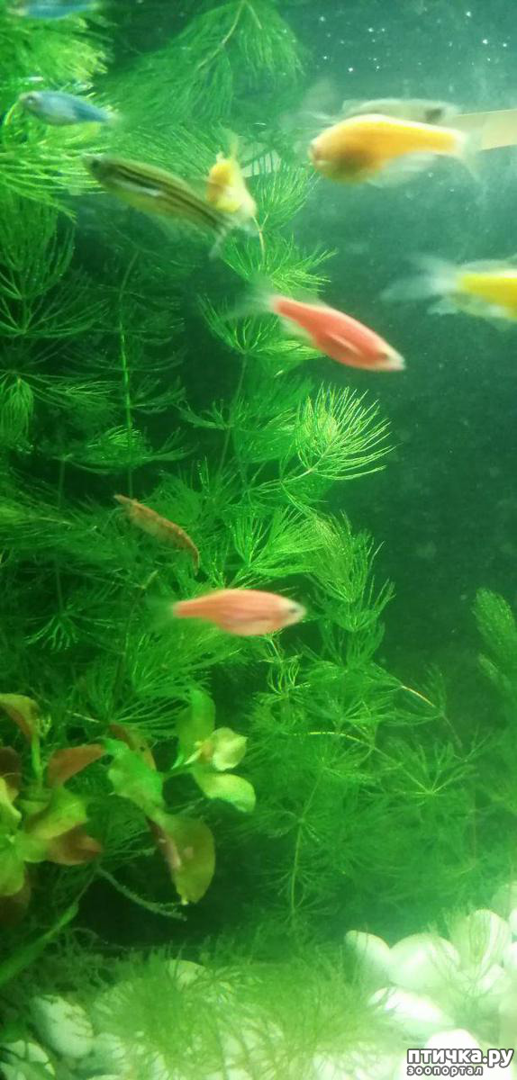 ���� 8: ������� ���������� ���� ����������� �������.