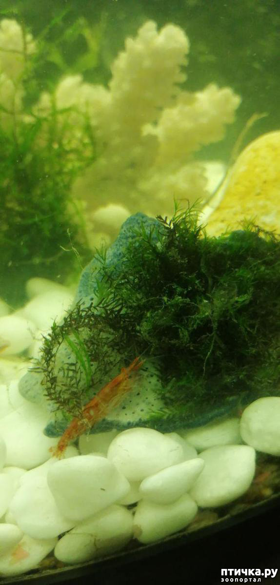 ���� 9: ������� ���������� ���� ����������� �������.