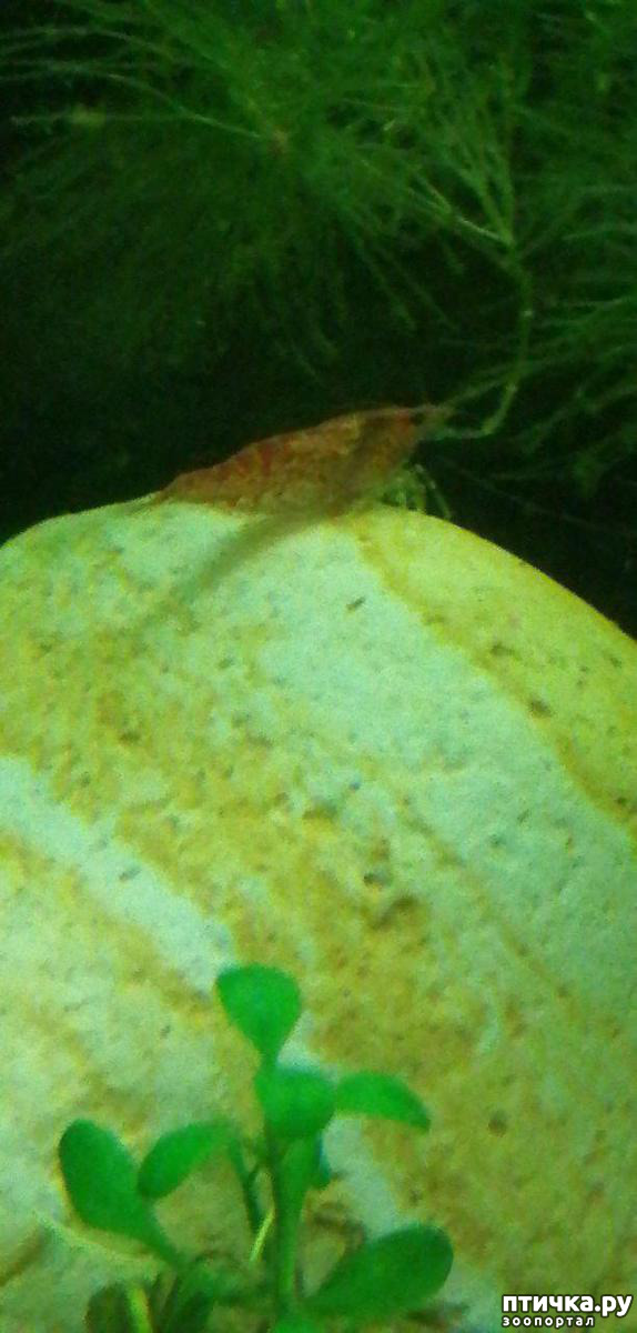 ���� 10: ������� ���������� ���� ����������� �������.