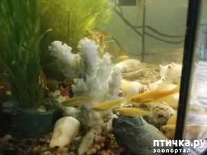 ����: ������� ���������� ���� ����������� �������.