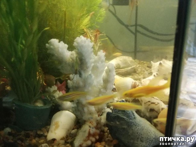 ���� 1: ������� ���������� ���� ����������� �������.