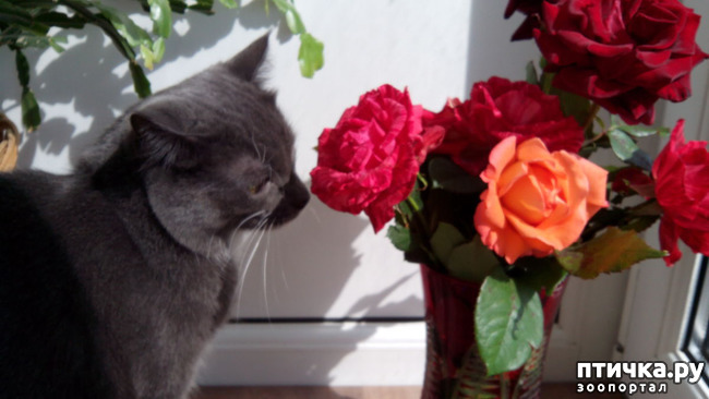 ���� 1: �������� ���������