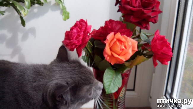 ���� 3: �������� ���������