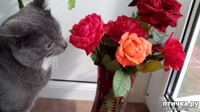 ���� 4: �������� ���������