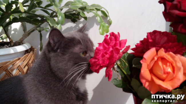 ���� 5: �������� ���������