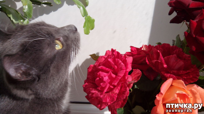 ���� 6: �������� ���������