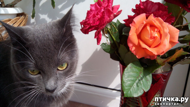 ���� 7: �������� ���������