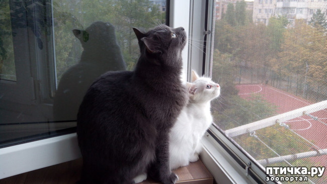 ���� 2: ������ ����