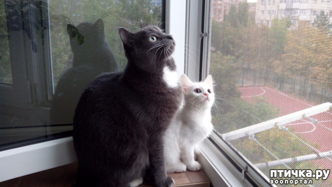 ���� 3: ������ ����