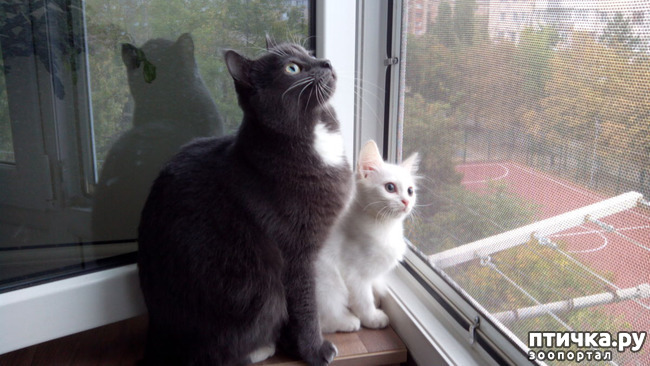 ���� 4: ������ ����