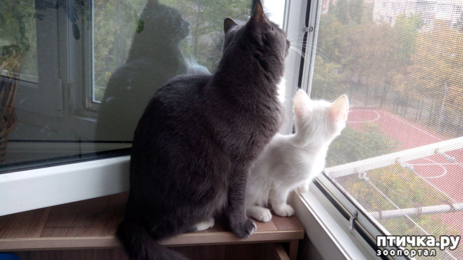 ���� 5: ������ ����