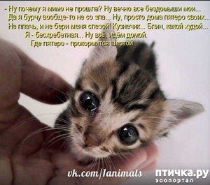 ����: ��� �����67 � ���� ��������