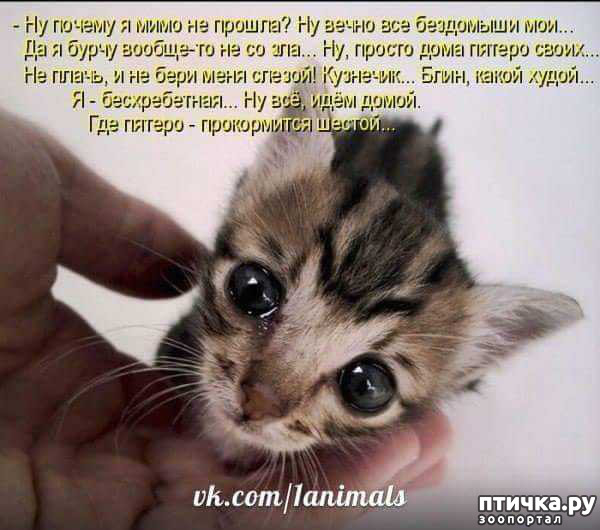 ���� 1: ��� �����67 � ���� ��������