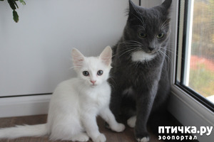 ����: ������ ����