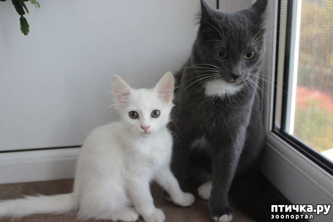 ���� 1: ������ ����