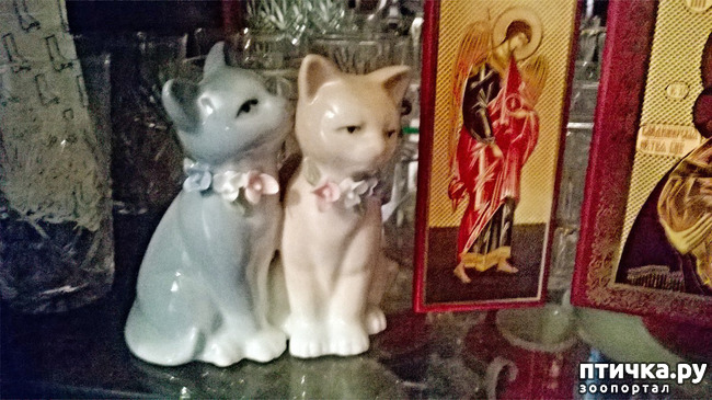 ���� 7: �����, ���������� ��������������!