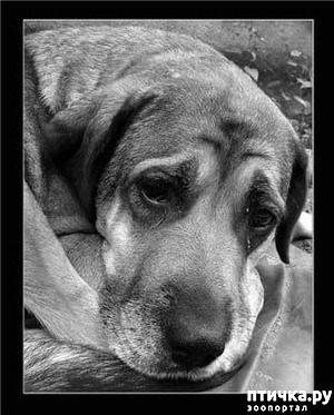 ����: ���� �� �� ���?!�