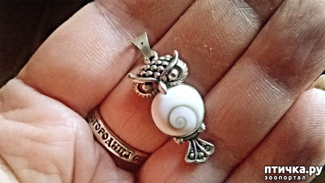 ���� 8: �����, ���������� ��������������!