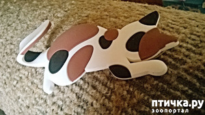 ����: �����, ���������� ��������������!