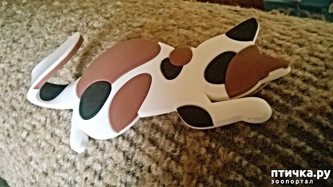 ���� 1: �����, ���������� ��������������!