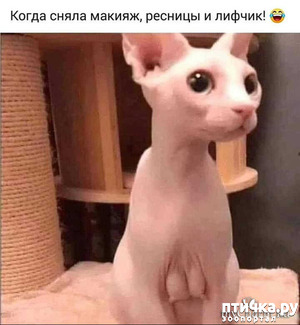 ����: �����