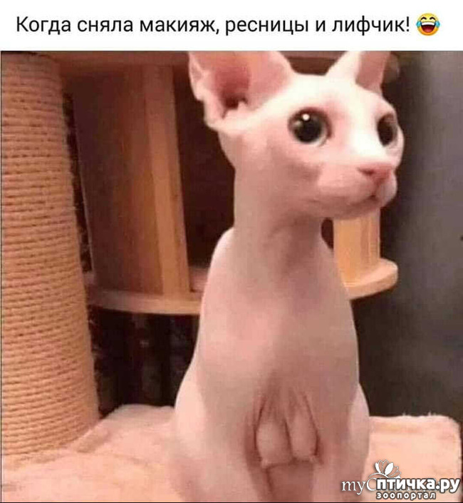 ���� 1: �����