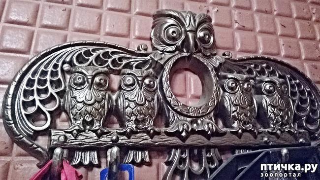 ���� 2: �����, ���������� ��������������!