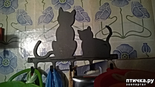 ���� 3: �����, ���������� ��������������!