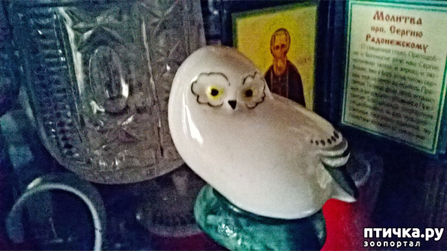 ���� 4: �����, ���������� ��������������!