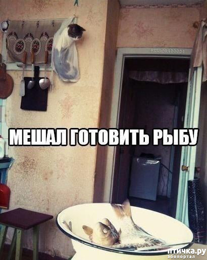 ���� 1: ����� �������� ����