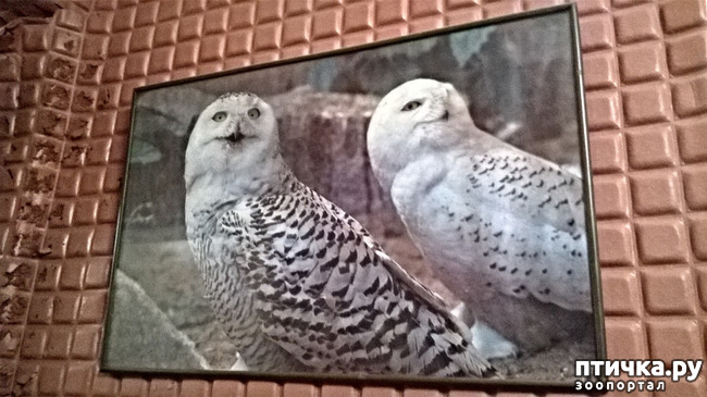 ���� 6: �����, ���������� ��������������!