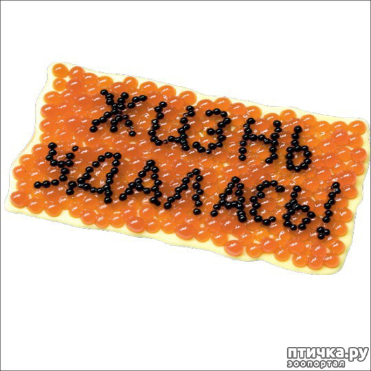 ���� 18: ����� ����� ����������� �������.