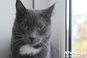 ����: ������� �� �����