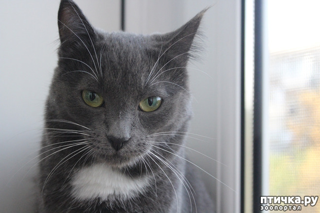 ���� 1: ������� �� �����