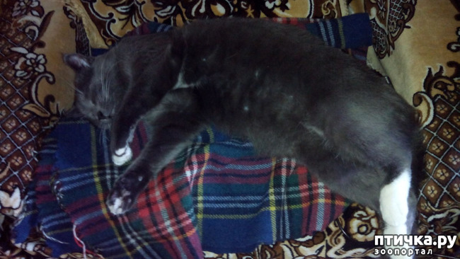 ���� 2: ������� �� �����