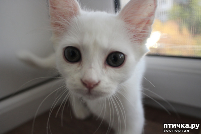 ���� 3: ������� �� �����