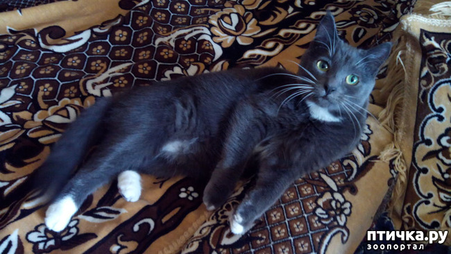 ���� 4: ������� �� �����