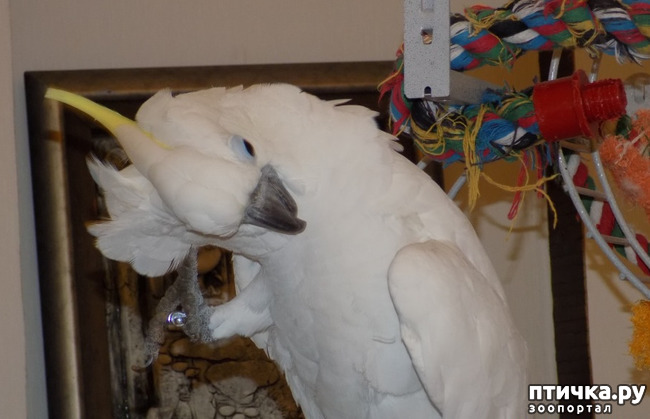 ���� 1: ����� ����� ����������� �������.