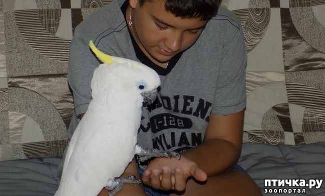 ���� 2: ����� ����� ����������� �������.