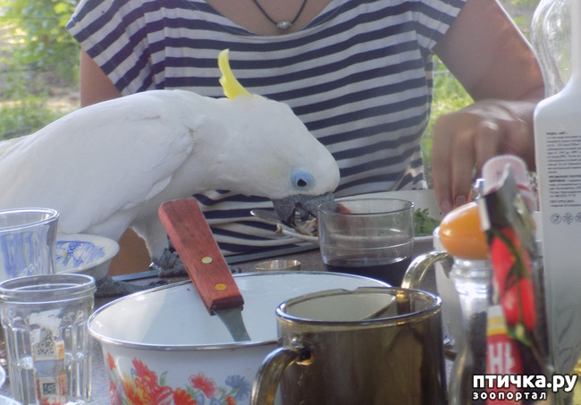 ���� 3: ����� ����� ����������� �������.