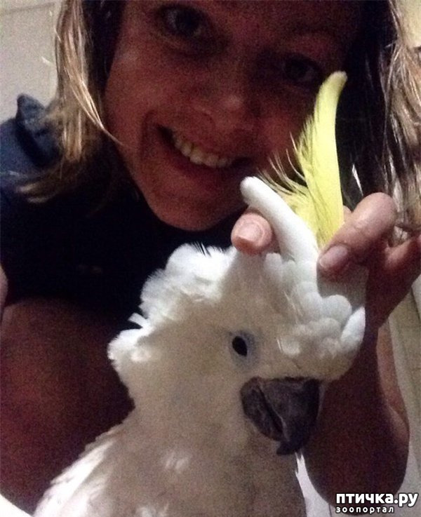 ���� 4: ����� ����� ����������� �������.