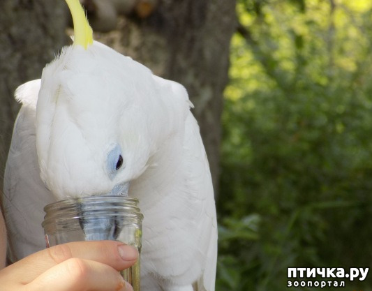 ���� 5: ����� ����� ����������� �������.