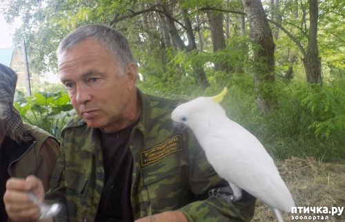 ���� 6: ����� ����� ����������� �������.