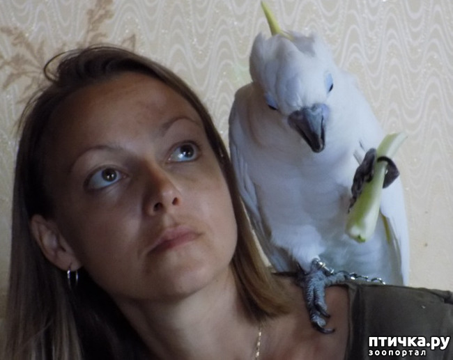 ���� 7: ����� ����� ����������� �������.