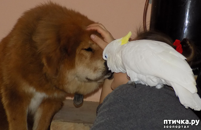 ���� 8: ����� ����� ����������� �������.