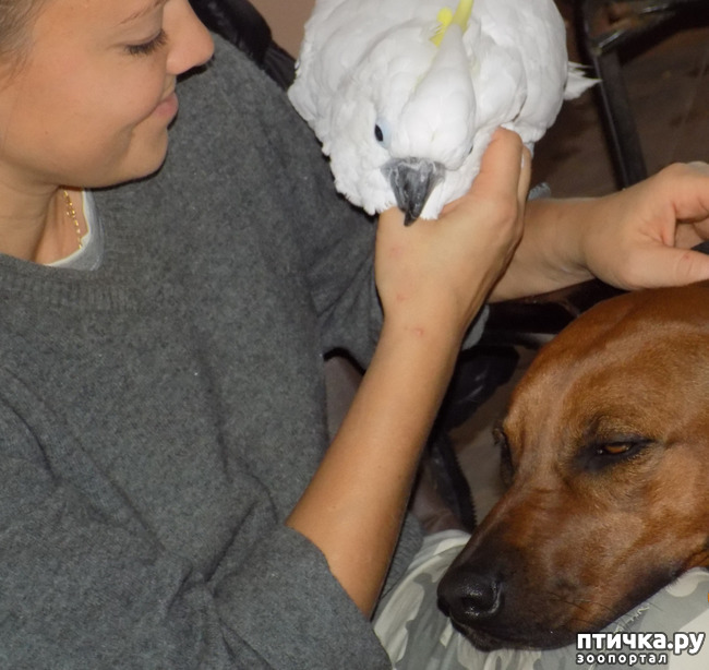 ���� 9: ����� ����� ����������� �������.