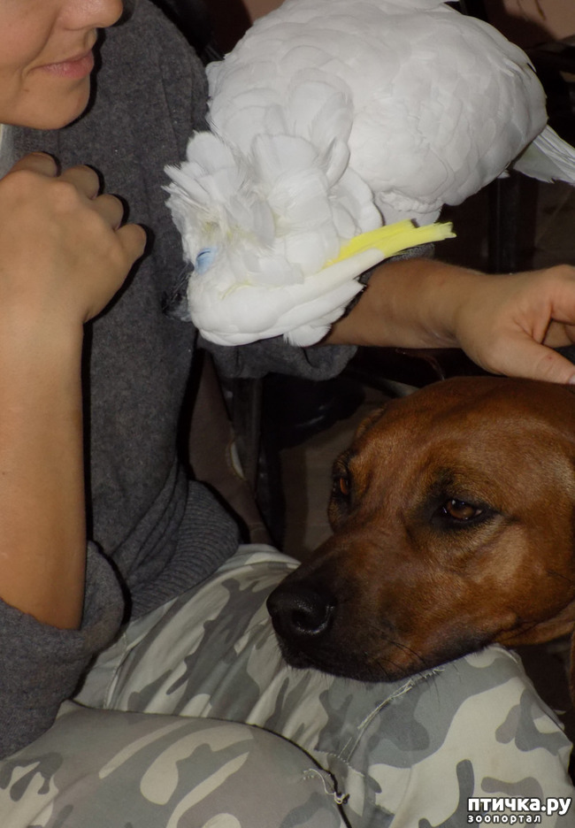 ���� 10: ����� ����� ����������� �������.