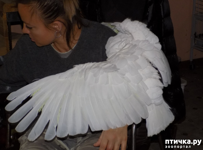 ���� 11: ����� ����� ����������� �������.